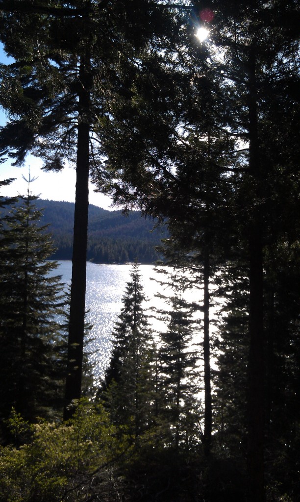 2013-05-26 18.11.15 Lake Almanor