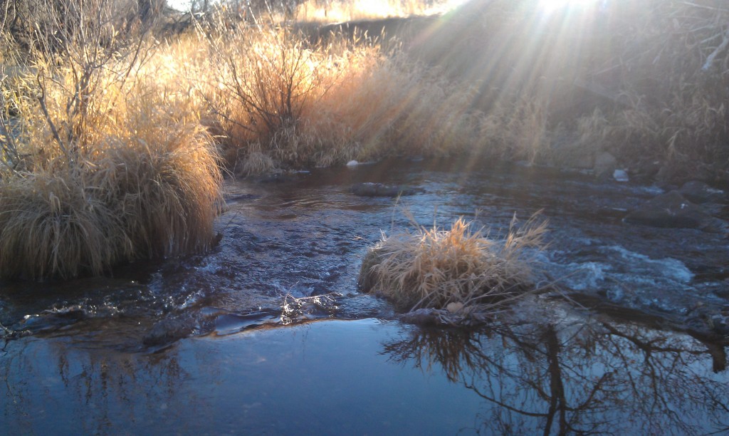 2013-11-29 08.31.11 Susan River in Winter