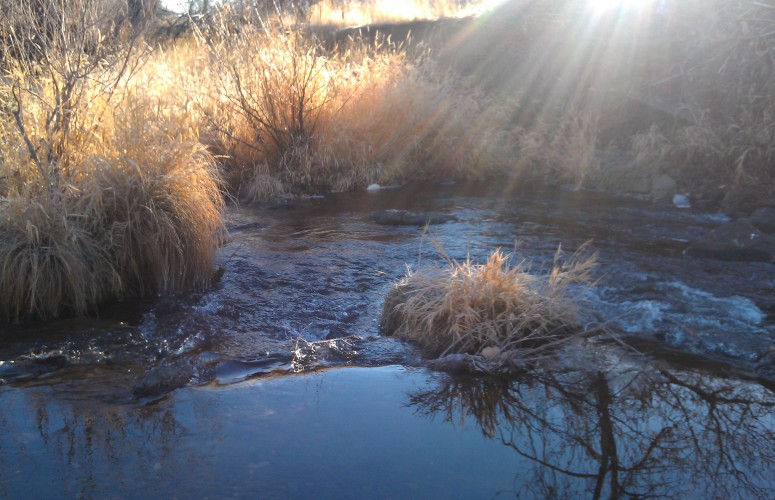 Susan River in Winter